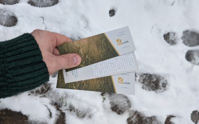 What are we reading?