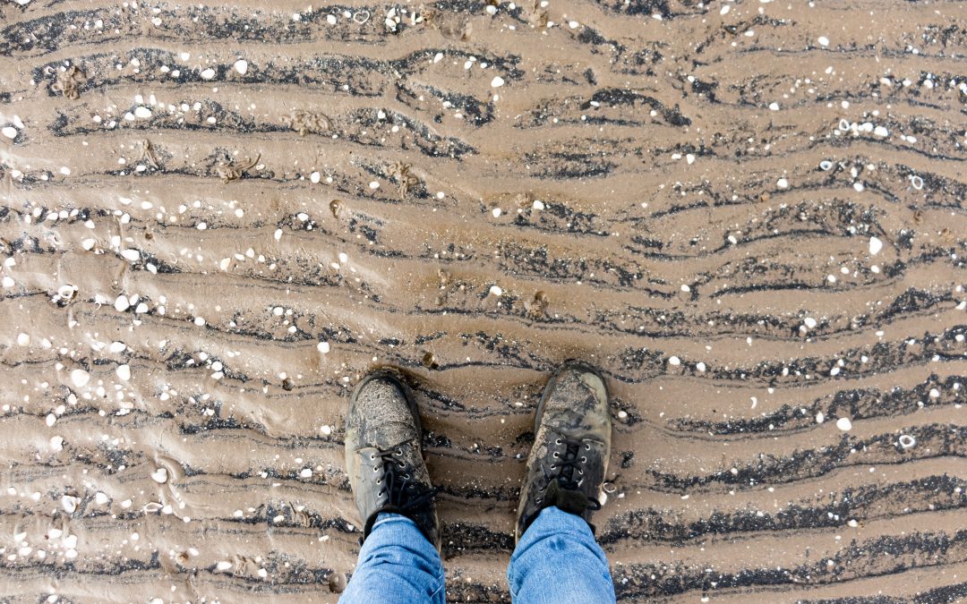 Dust On The Ground – Ash Wed. Reflection