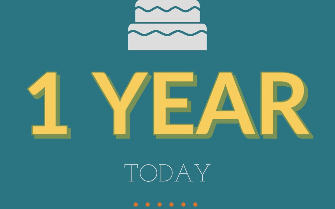 What have we been up to? Christmas 2021