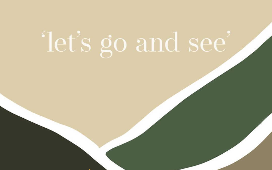 ‘Let’s go and see’ Shepherds | Advent #3